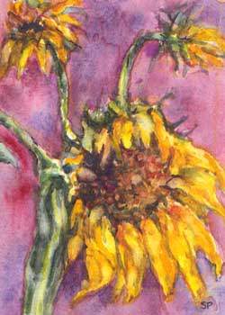 October - "Summer Glory" by Sally Probasco, Madison WI - Watercolor - SOLD